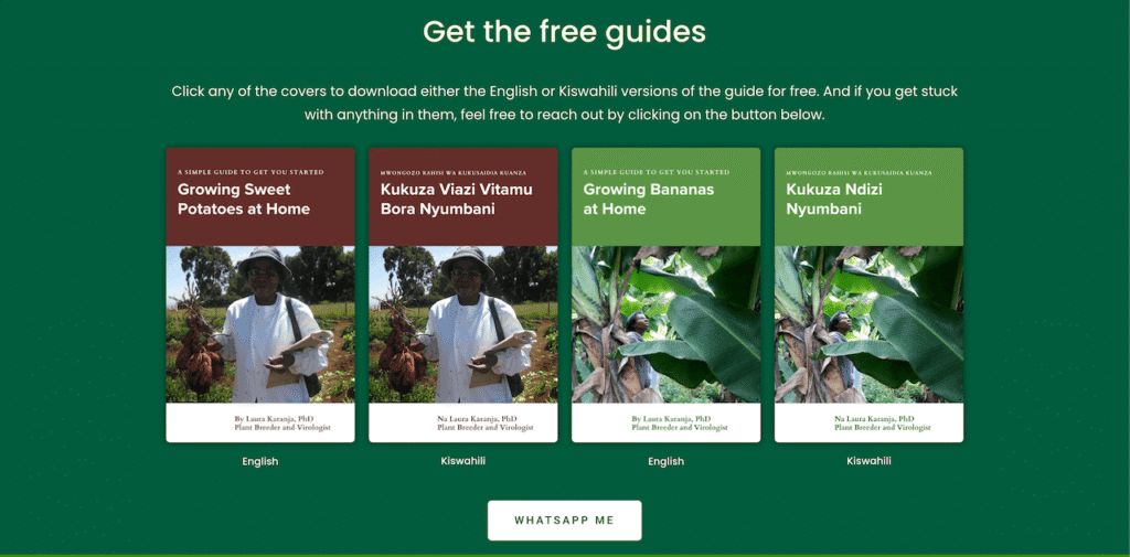Screenshot of footer section for Laura's homepage