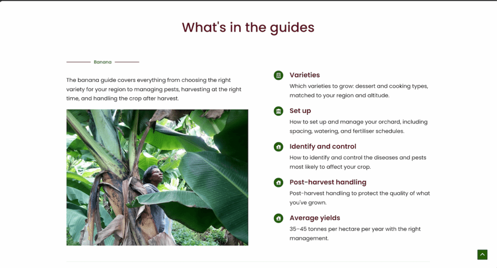 Screenshot of guides section for Laura's homepage